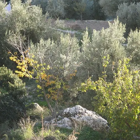 Caseria 7 Fuentes Chalet Hinojares